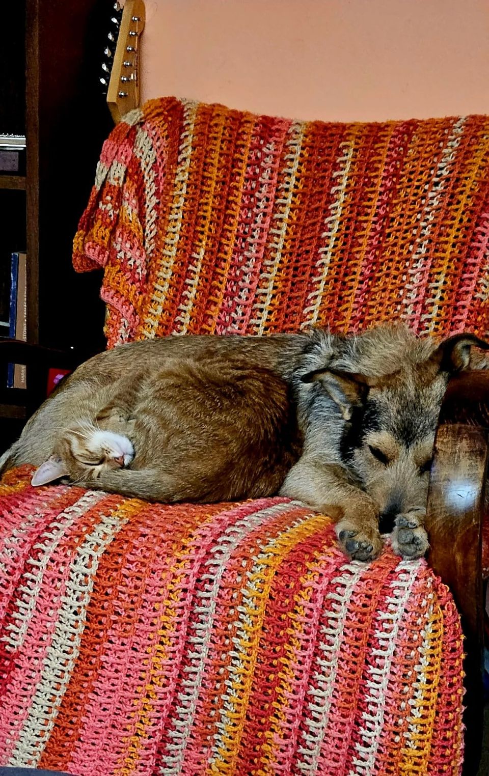 A crocheted blanket in orange, pink, mustard and cream stripes over an armchair, with a cat and a dog asleep curled up together on it